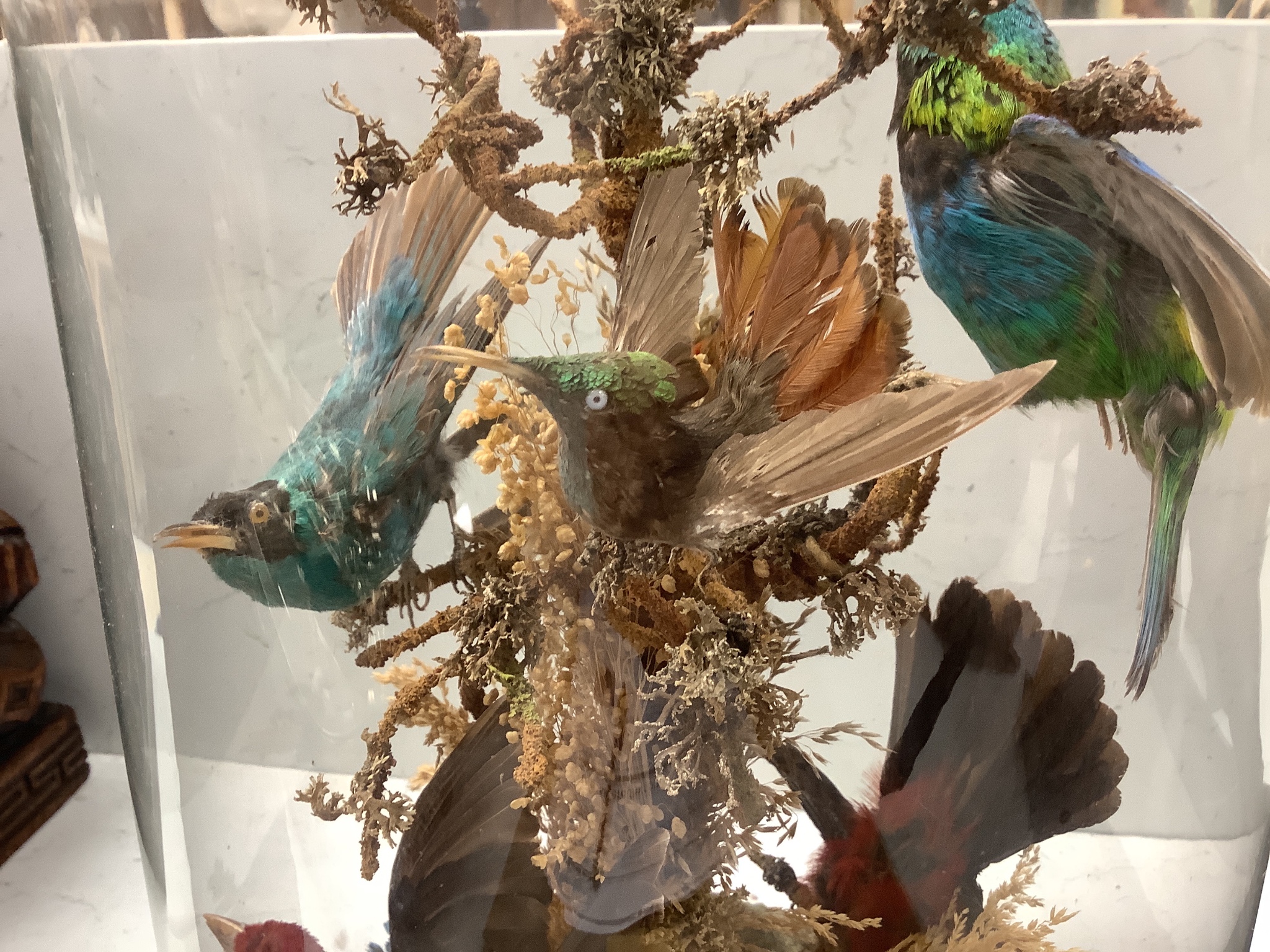 A Victorian taxidermic group of exotic birds, under a glass dome, height 46cm